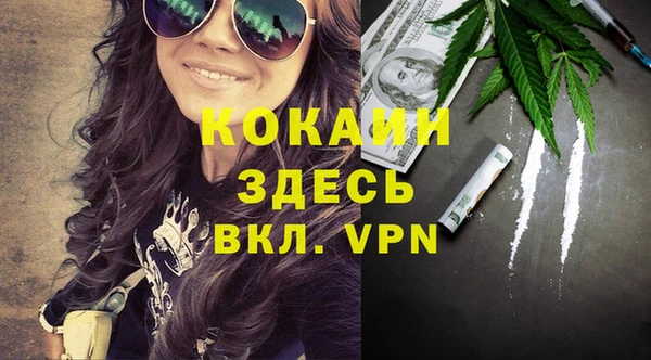 соль ск Алзамай